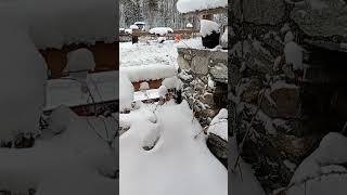 Ollomont IV, snow. Aosta valley-Italy 17/02/26 #aostavalley #alps #mountain #village #snow #snowfall