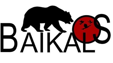 Baikal OS Android 11 Review on Poco F1