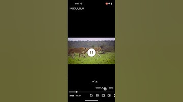 Just (Video) Player - 安卓开源视频播放器 #Android #videoplayer