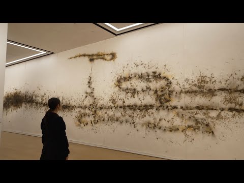 Cai Guo-Qiang | 20th Century & Contemporary Art Hong Kong | October 2023