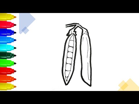 Video Vẽ quả đậu Hà Lan | How to draw Peas | Drawing... - youtube