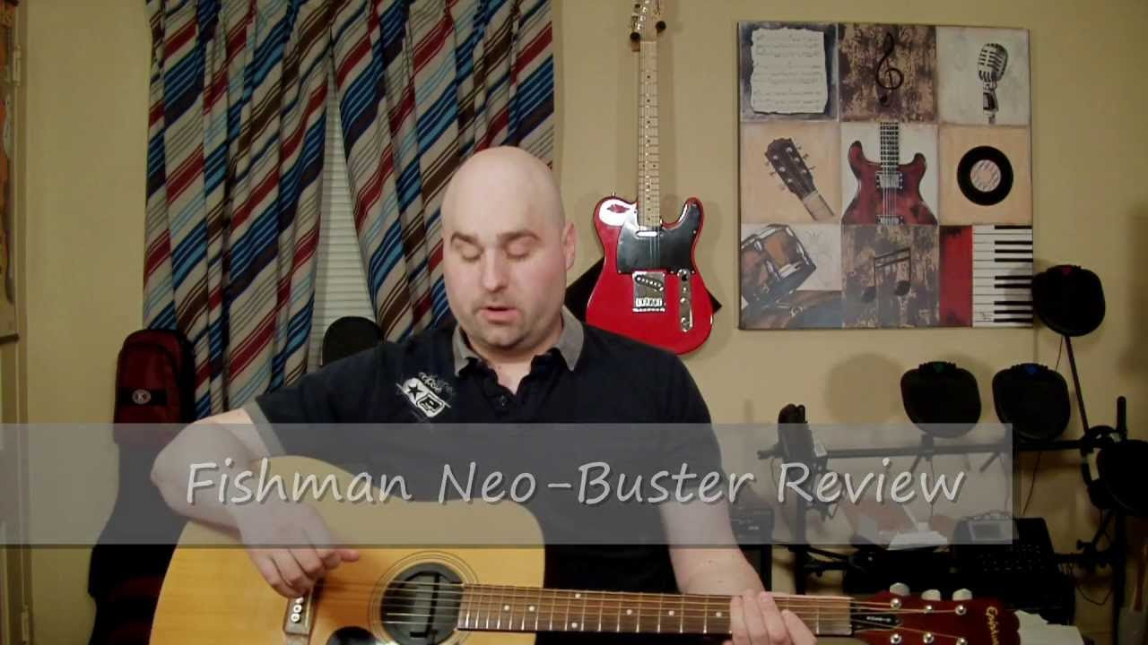 Amazon.com: Fishman Neo-Buster Humbucker Soundhole Acoustic