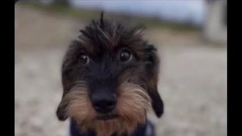 how to rocket jump in gmod (real)