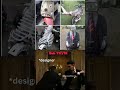 Scooters Modified in Craziest Way Ever 🤯 #shorts