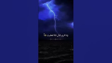 قران كريم تلاوات جميله ياسر الدوسري #قران_كريم #ياسر_الدوسري #تلاوة_خاشعة #comedy #مكة #اكسبلور
