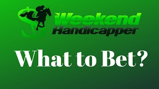 Beginner's Guide to the Different Types of Bets in Horse Racing