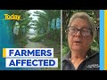 Fruit and vegetables prices to spike after storms hit Queensland farmers | Today Show Australia