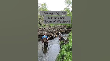 Clearing Log Jams - 6 mile creek - #shorts