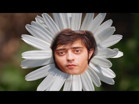 שייגעצ פרח נתתי לנורית 