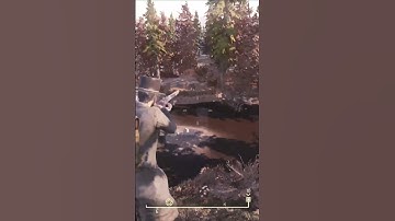 I thought this only happened in Skyrim #Fallout76 #shorts