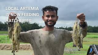 How Artemia Is Transforming Salt Farms into Climate-Smart Aquaculture