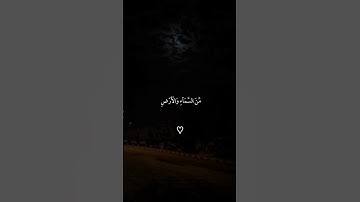 سورة فاطر |3|القارئ#ماهر_المعيقلي #قران #quran #راحة_نفسية  #تلاوة_هادئة #قران_كريم