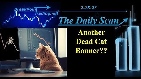 Dead Cat Bounce??  Again??