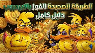 أهم النصائح في لعبة البطة DUCK MY DUCK علشان تحقق اقصى استفادة ومتضيعش وقت على الفاضي ✋❌ screenshot 1