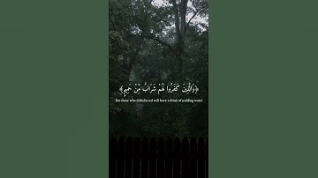 "وعد الله حقا" تلاوه هادئه ومريحه للقلب ✨💙|القارئ عبدالرحمن مسعد 🥀💛