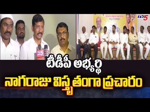 Kurnool TDP MP Candidate Basthipati Nagaraju Election Campaign | AP Elections | TV5 News - TV5NEWS