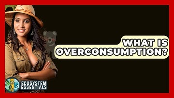 What Is Overconsumption? - Ecosystem Essentials