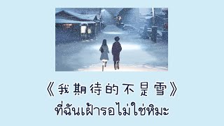 [THAISUB/คำอ่าน]  我期待的不是雪 ที่ฉันเฝ้ารอไม่ใช่หิมะ - 张妙格 (เพลงจีนแปลไทย)