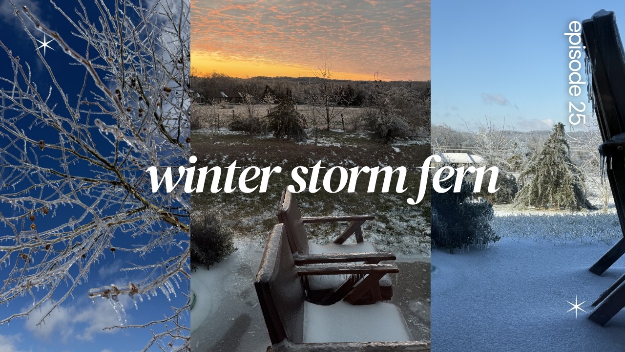 WINTER STORM FERN