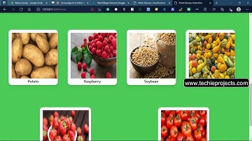 Plant Leaf Disease detection using CNN Detailed Explaination-1 | Python | Image Processing