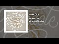 JJ Heller Miracle Official Audio Video 