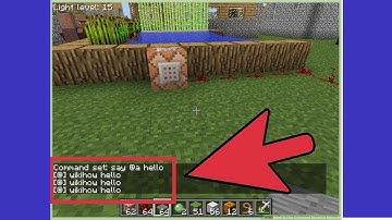 Tell Raw command how to use it [Bedrock Edition]