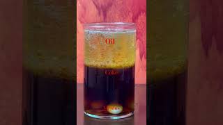 Oil mentos coke experiment #scienceexperiment #funexperiment #funexperiment #thedsrcrew #ytshorts