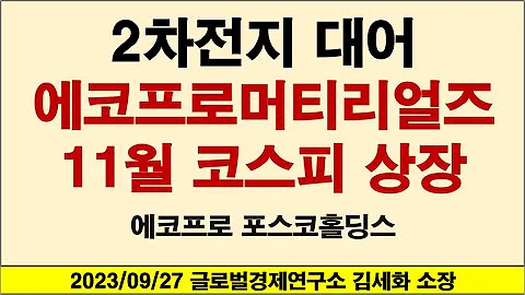 2차전지 대어 에코프로머티리얼즈 11월 코스피 상장 에코프로 포스코홀딩스