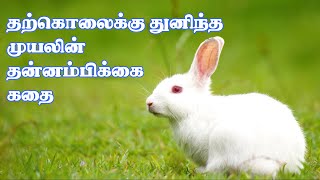 Video Download