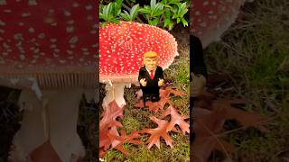 Mushroom Trump #viral #reels #amazing #trump #jokes #shorts