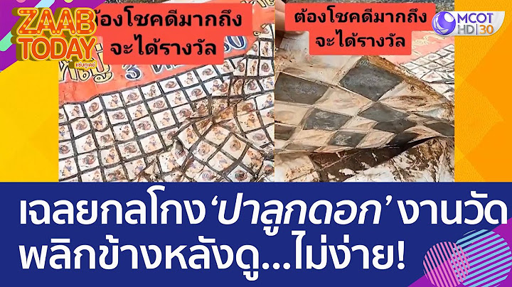 หนุ่มเฉลยกลโกง 'ปาลูกดอก' เสี่ยงโชคงานวัด พลิกข้างหลังดูไม่ง่าย (5 เม.ย. 66) แซ่บทูเดย์