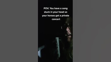 Pov: you have a song stuck in your head, so your horses get a private concert.#horses