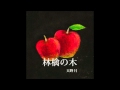 林檎の木 天野月