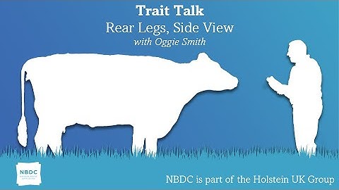 Trait Talk - Episode 9 - Rear Legs Side View