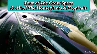 Plant & Grow Space Tour || Planting an Evergreen Hedge || Saturday Vlog screenshot 5