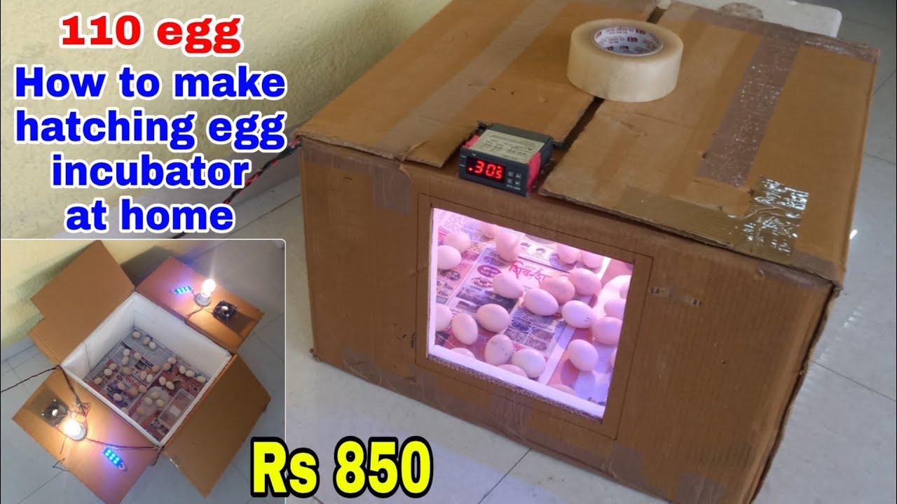 how to make hatching egg incubator at home च ज क मस न youtube egg incubator hatching eggs eggs