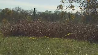 Houston crime: 28-year-old woman shot and killed in Brazoria County