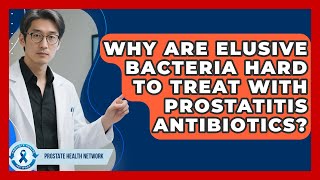 Why Are Elusive Bacteria Hard To Treat With Prostatitis Antibiotics? - Prostate Health Network
