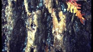 Decadence - Decadence EP by Di^log.