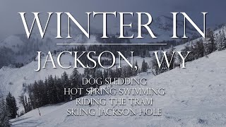 WINTER IN JACKSON HOLE: ARRIVAL, DOG SLEDDING, HOT SPRING SWIMMING, GONDOLA, SKIING &amp; BOARDING