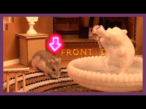 햄스터 전용 호텔 (Hamster Hotel)