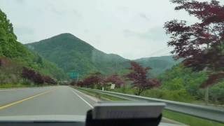 파인트리펜션 영상