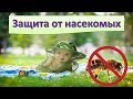 КАК ЗАЩИТИТЬ РЕБЕНКА ОТ НАСЕКОМЫХ?