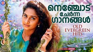 മലയാളികൾ നെഞ്ചോട് ചേർത്ത സിനിമാപാട്ടുകൾ  | Old Evergreen Hits Malayalam
