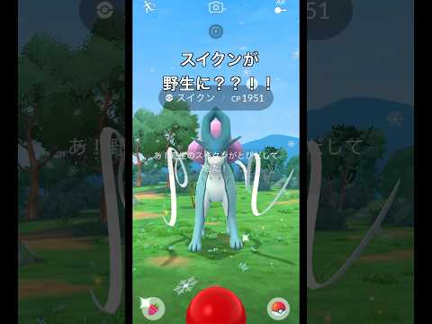 【ポケモンGO】スイクンが野生に？？！！！#ポケモンgo #ポケモン #スイクン
