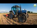 Tractor Vlog EP 54  - MACINIAMO GLI STOCCHI DEL COLZA POST TREBBIATURA! | Trinciastocchi Taarup