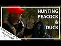 Hunting Aotearoa Series 5 EP16 Peacock and Duck Hunting