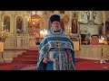 Orthodox Sermon - Breaking the grip of sin