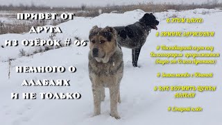 Привет от друга из Озёрок # 06