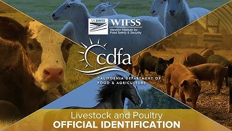 Livestock and Poultry Official Identification